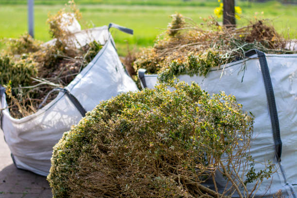 Best Same-Day Junk Removal  in Woodlawn, MD